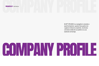 companyprofile icon